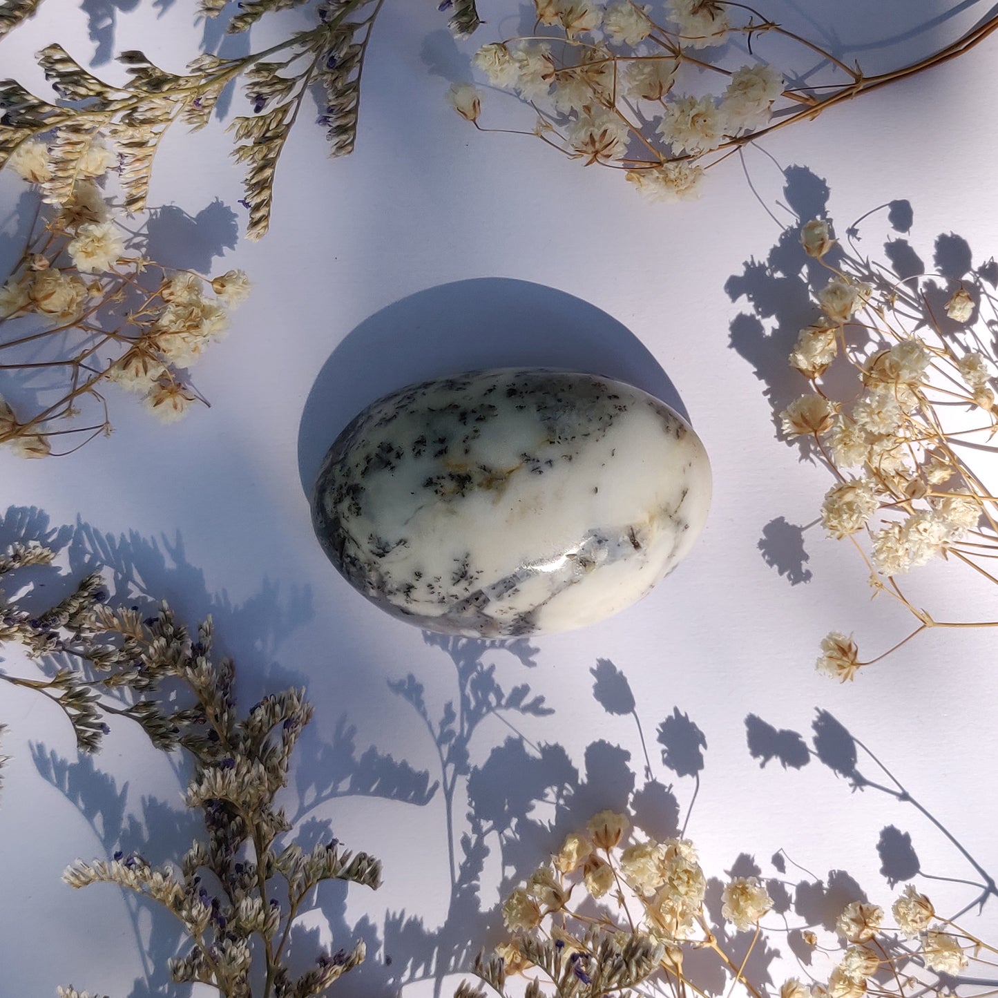 Dendritic Opal Palm Stone (#27)