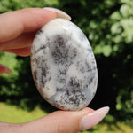 Dendritic Opal Palm Stone (#27)