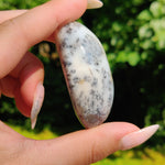 Dendritic Opal Palm Stone (#27)