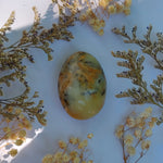 Dendritic Opal Palm Stone (#25)