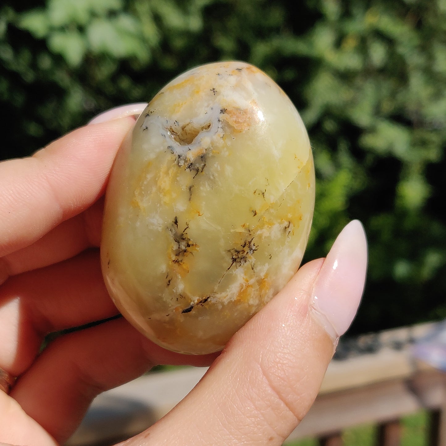 Dendritic Opal Palm Stone (#25)