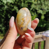 Dendritic Opal Palm Stone (#25)