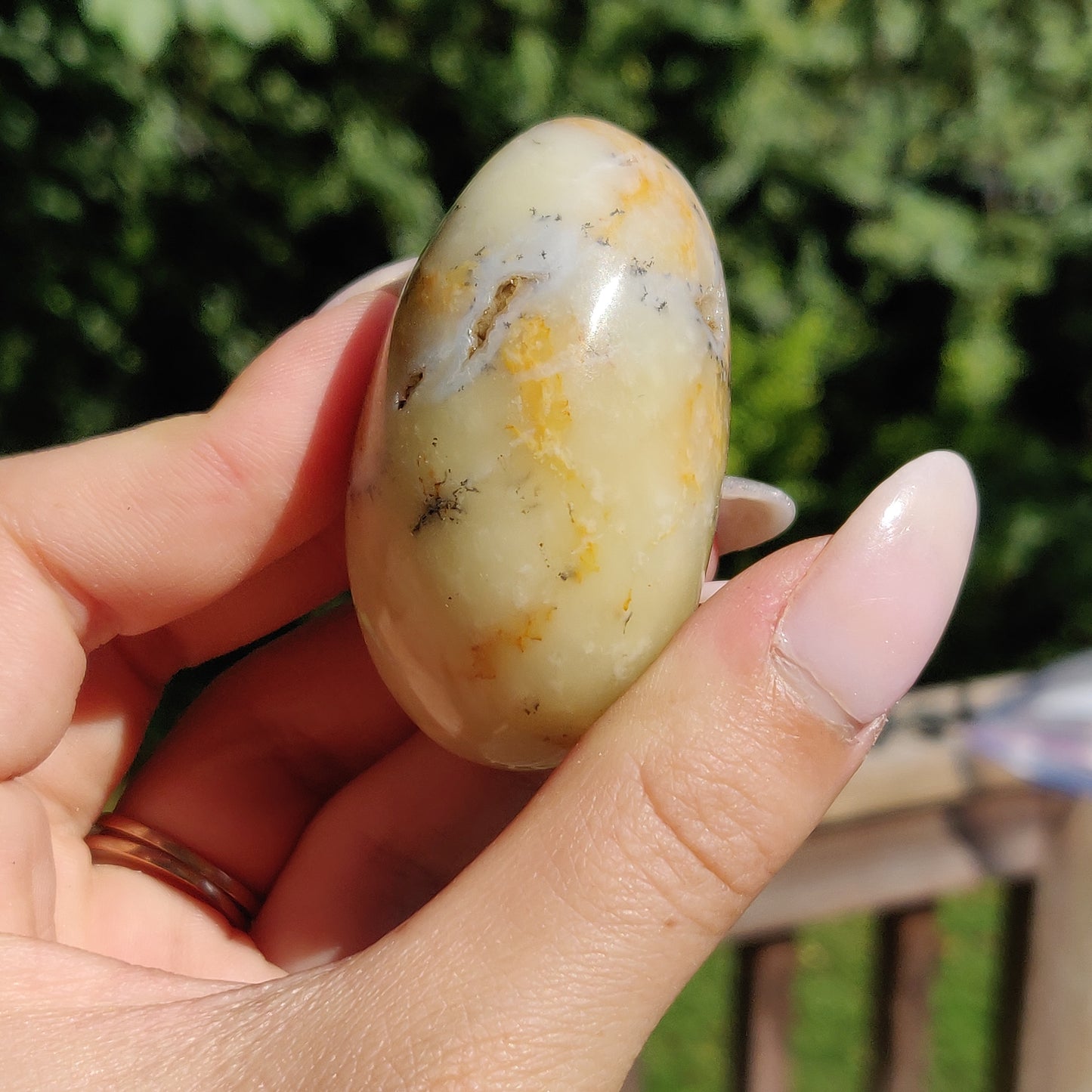 Dendritic Opal Palm Stone (#25)