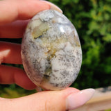 Dendritic Opal Palm Stone (#28)