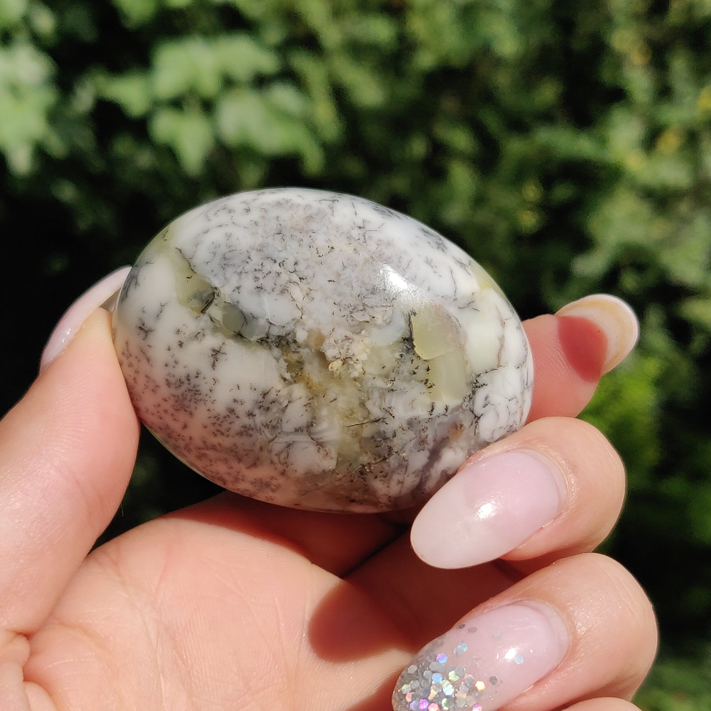 Dendritic Opal Palm Stone (#28)