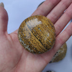 Ocean Jasper Palm Stone (#4)