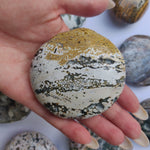 Ocean Jasper Palm Stone (#1)