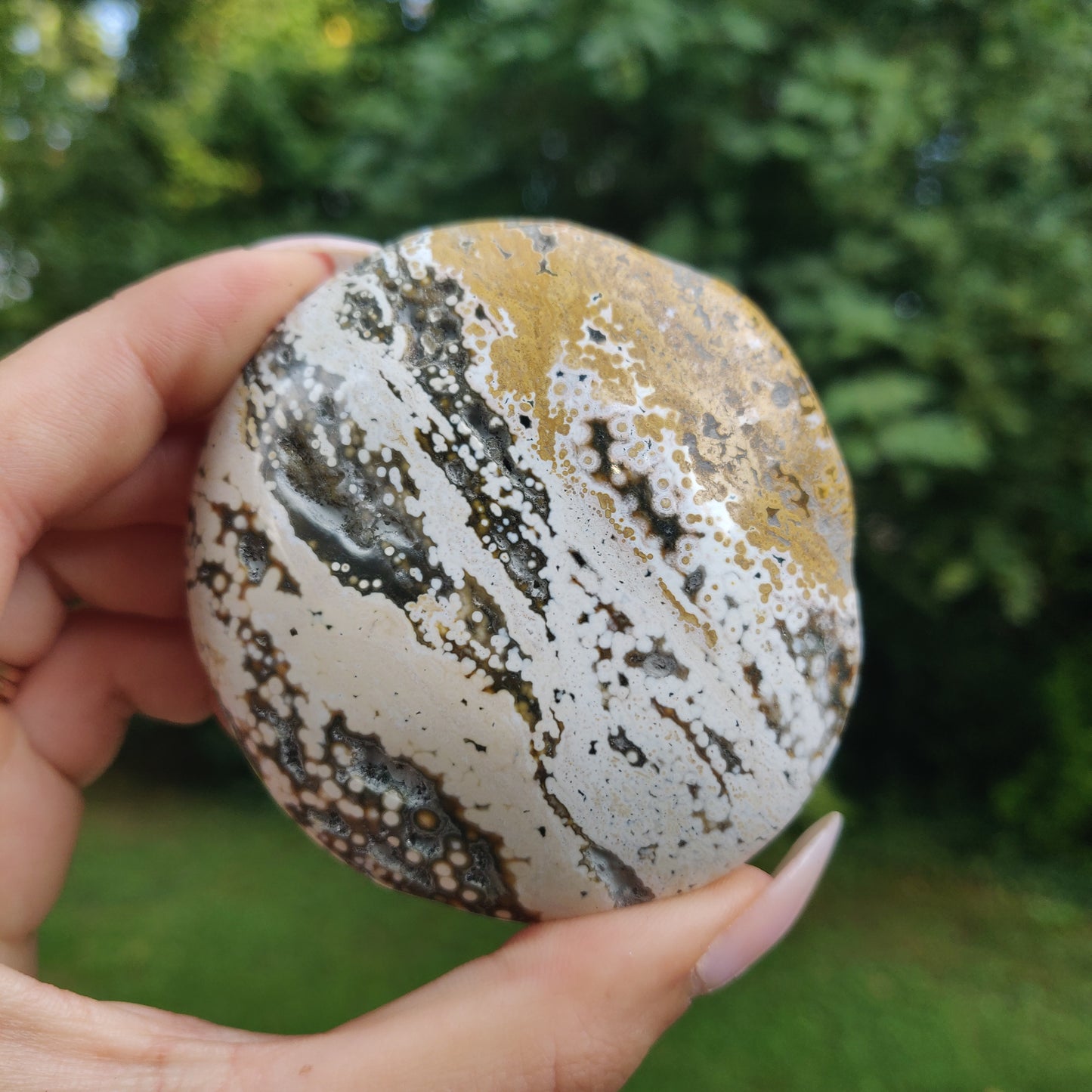 Ocean Jasper Palm Stone (#1)