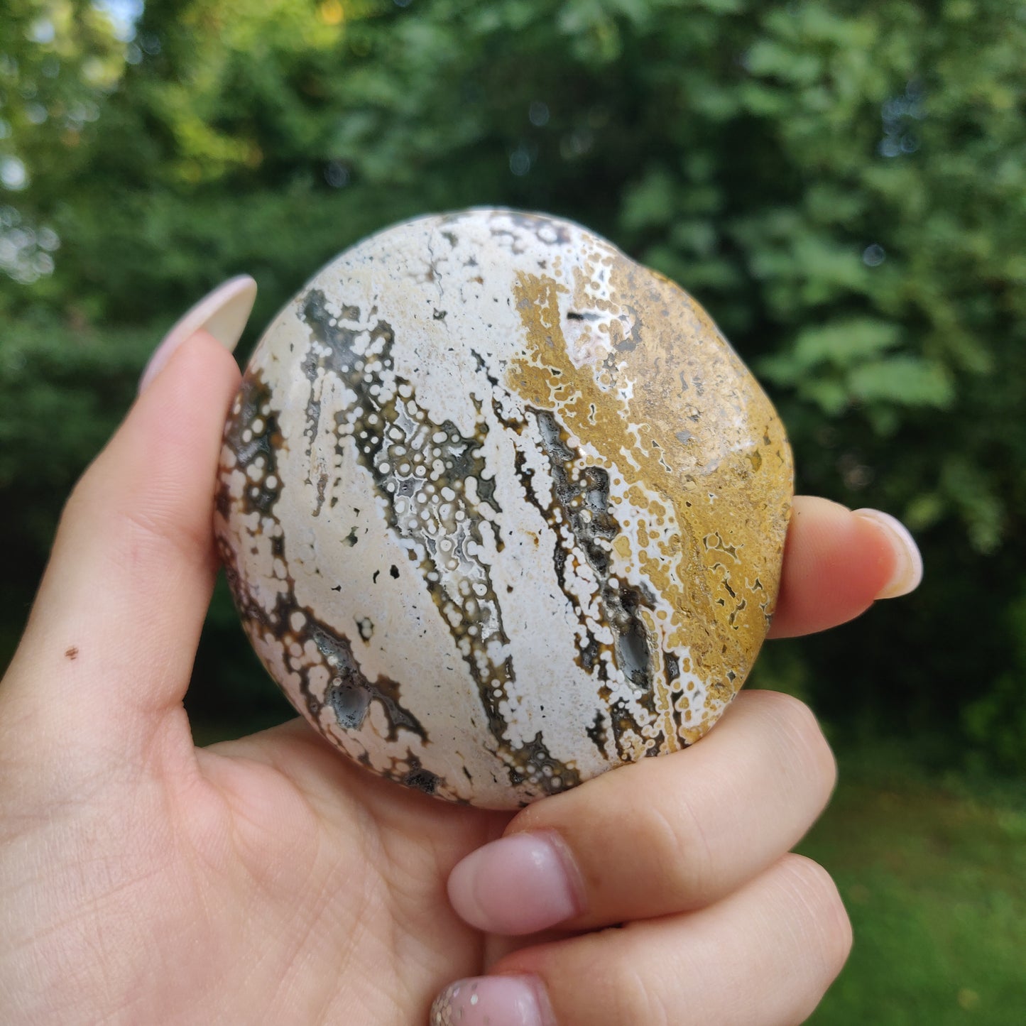 Ocean Jasper Palm Stone (#1)