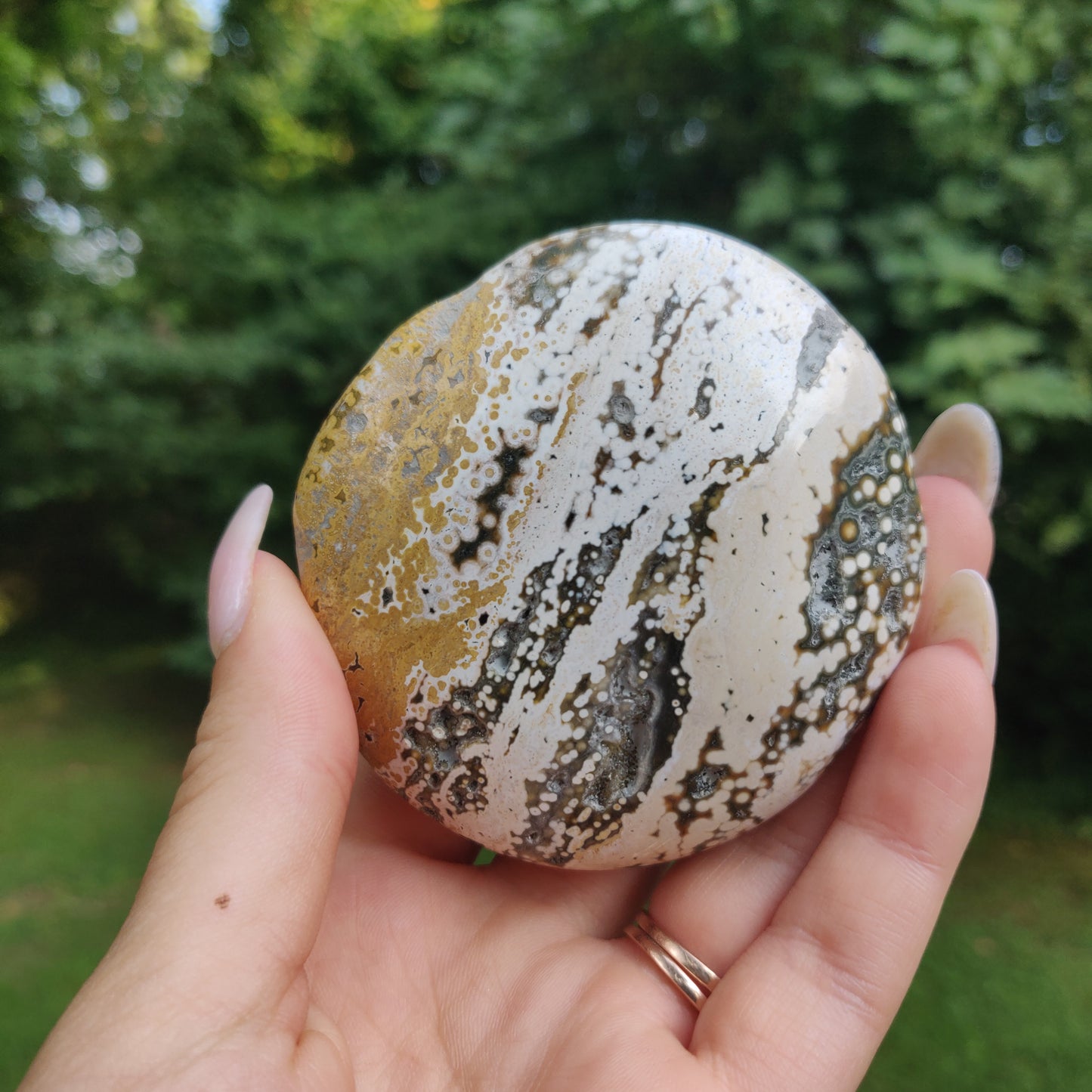 Ocean Jasper Palm Stone (#1)