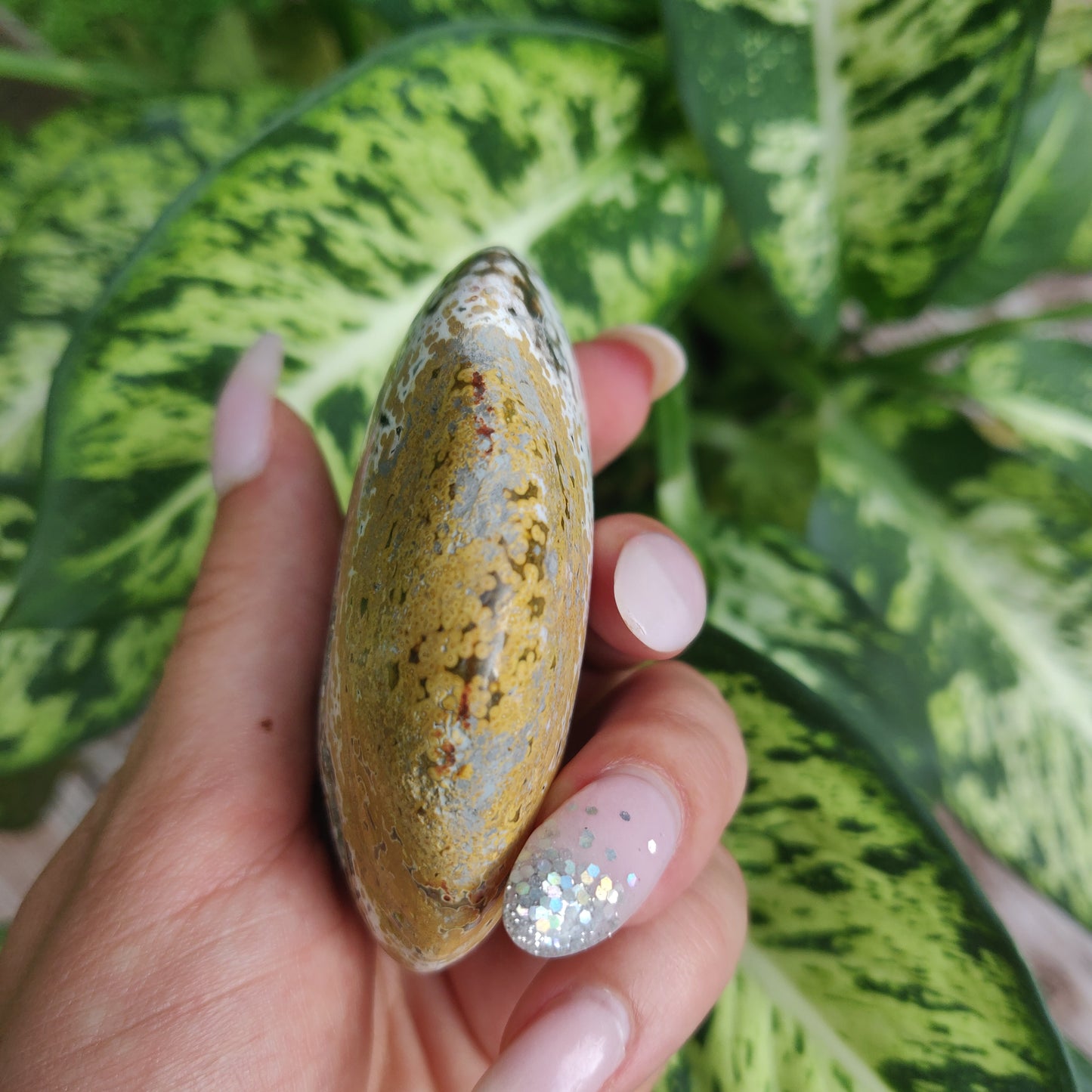 Ocean Jasper Palm Stone (#1)