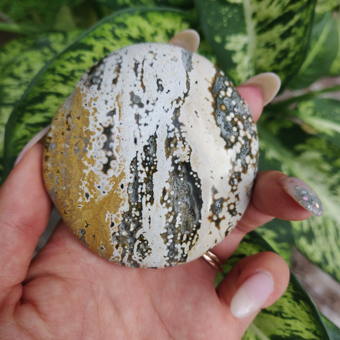 Ocean Jasper Palm Stone (#1)
