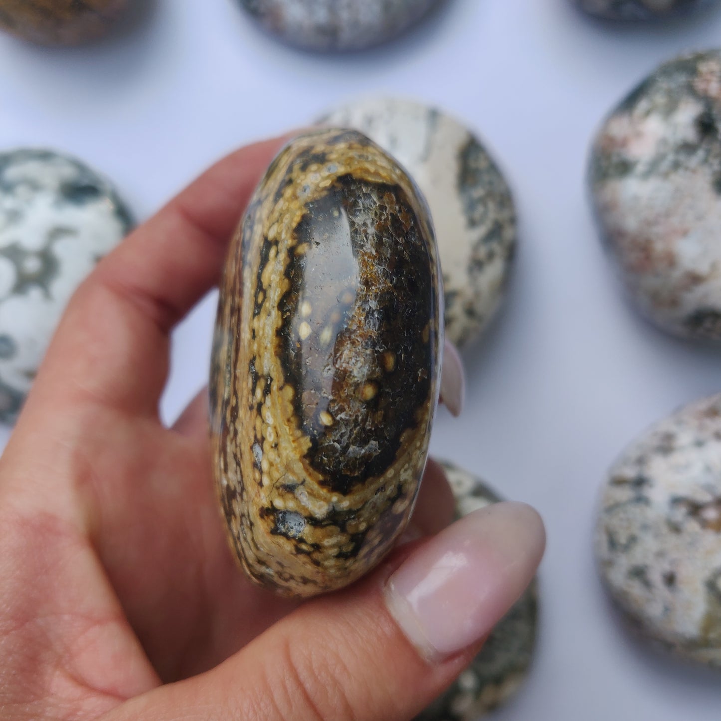 Ocean Jasper Palm Stone (#22)