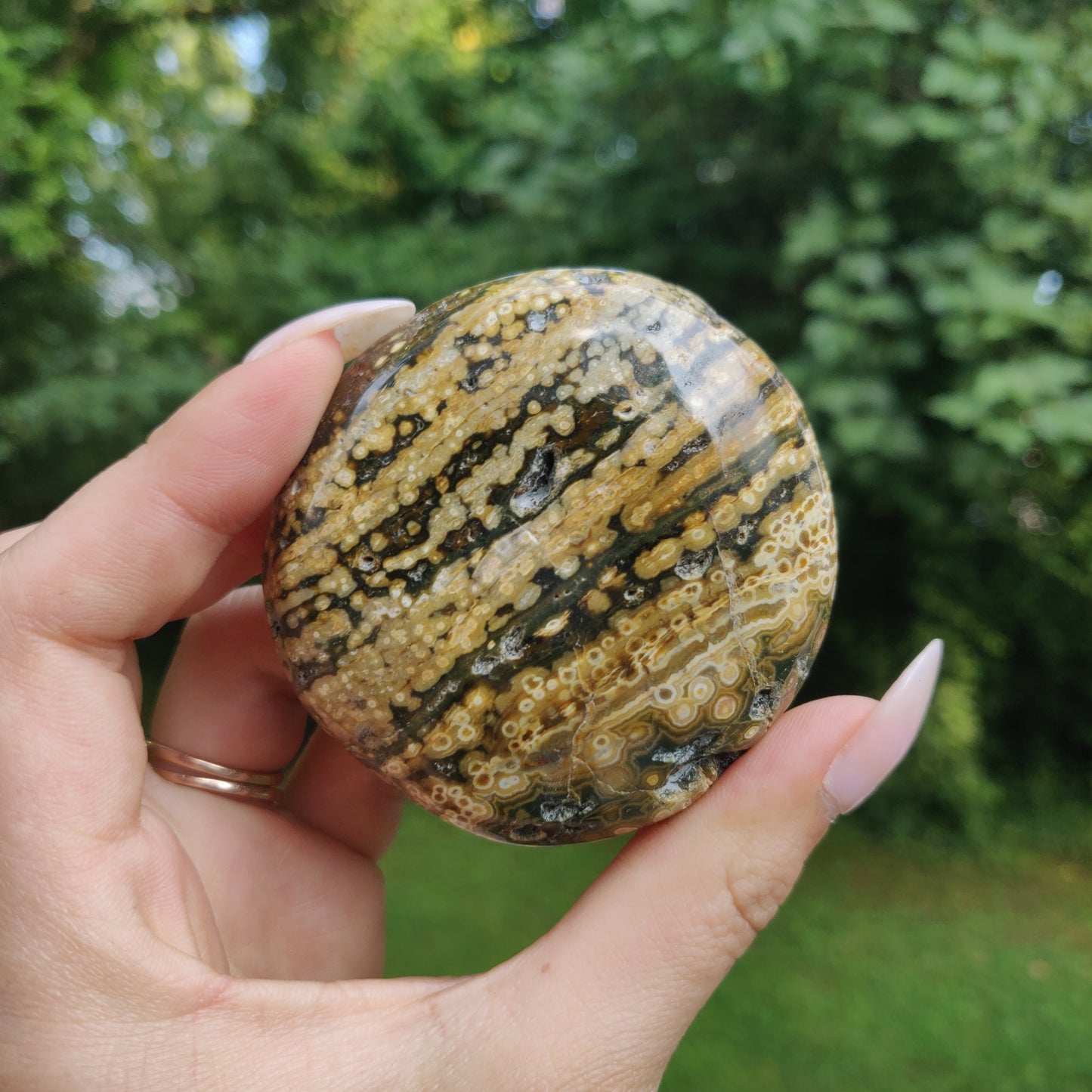Ocean Jasper Palm Stone (#22)