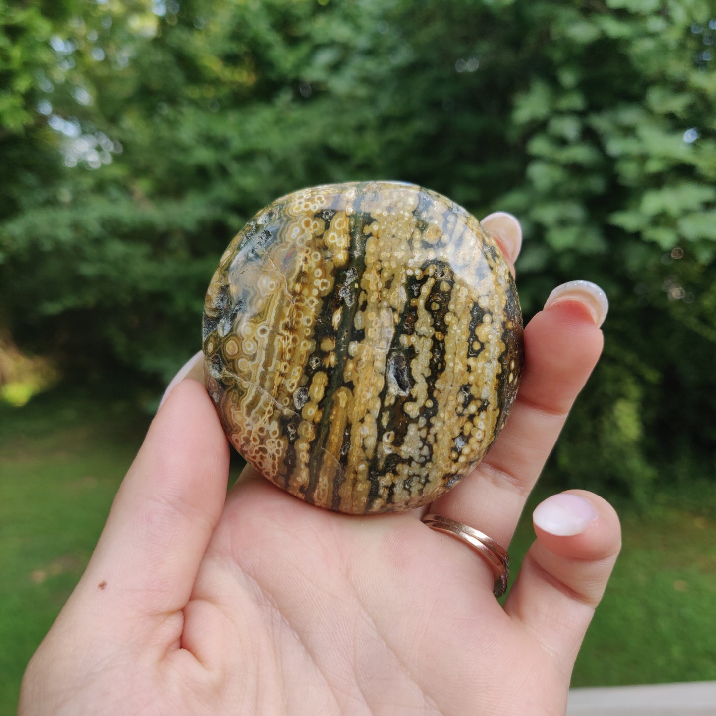 Ocean Jasper Palm Stone (#22)