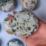 Ocean Jasper Palm Stone (#8)