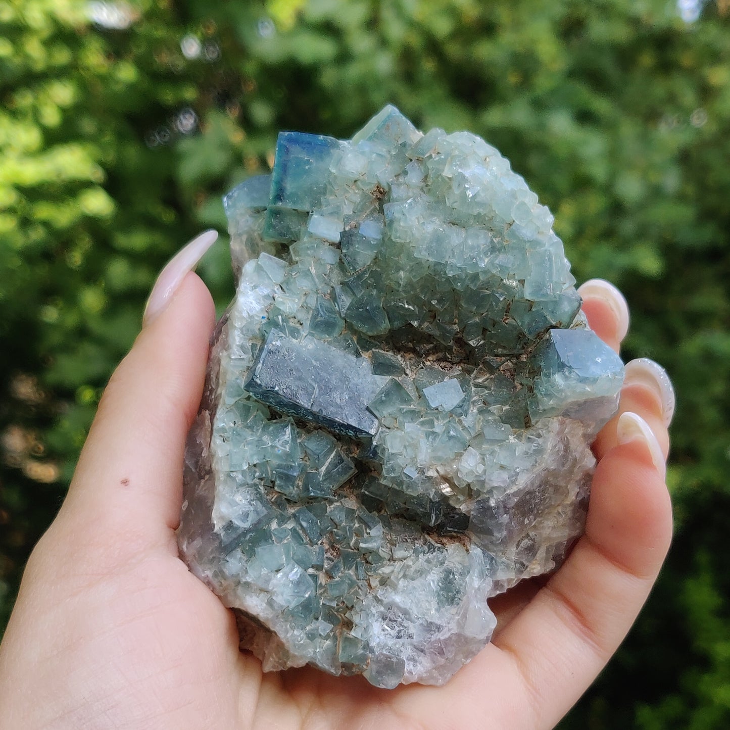 Raw Cubic Fluorite Cluster (#J6)