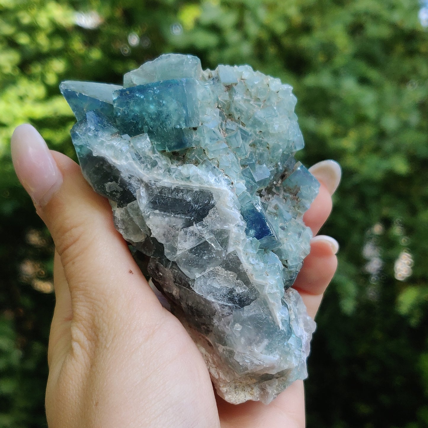 Raw Cubic Fluorite Cluster (#J6)