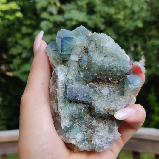 Raw Cubic Fluorite Cluster (#J6)