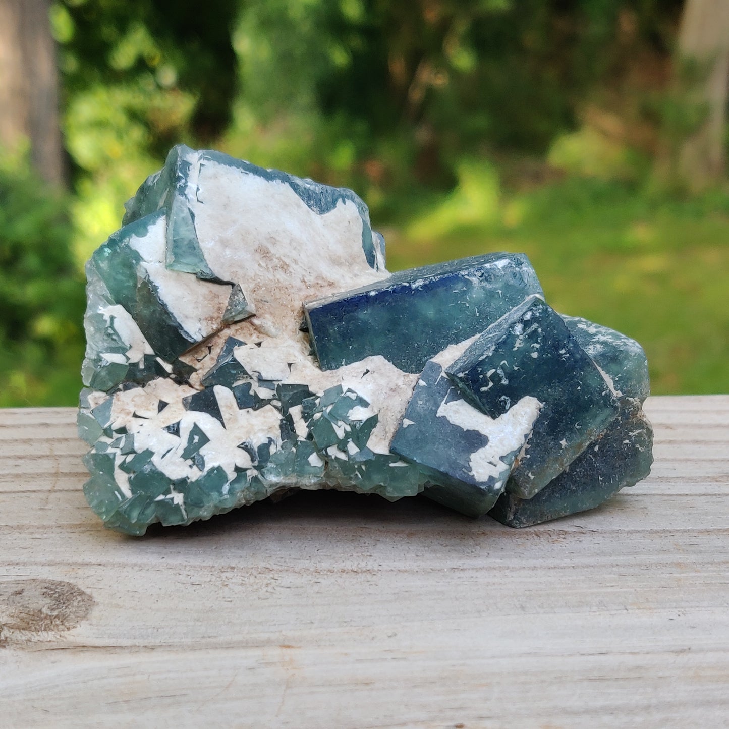 Raw Cubic Fluorite Cluster (#J3)