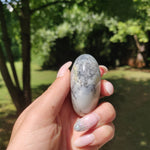 Dendritic Opal Palm Stone (#26)