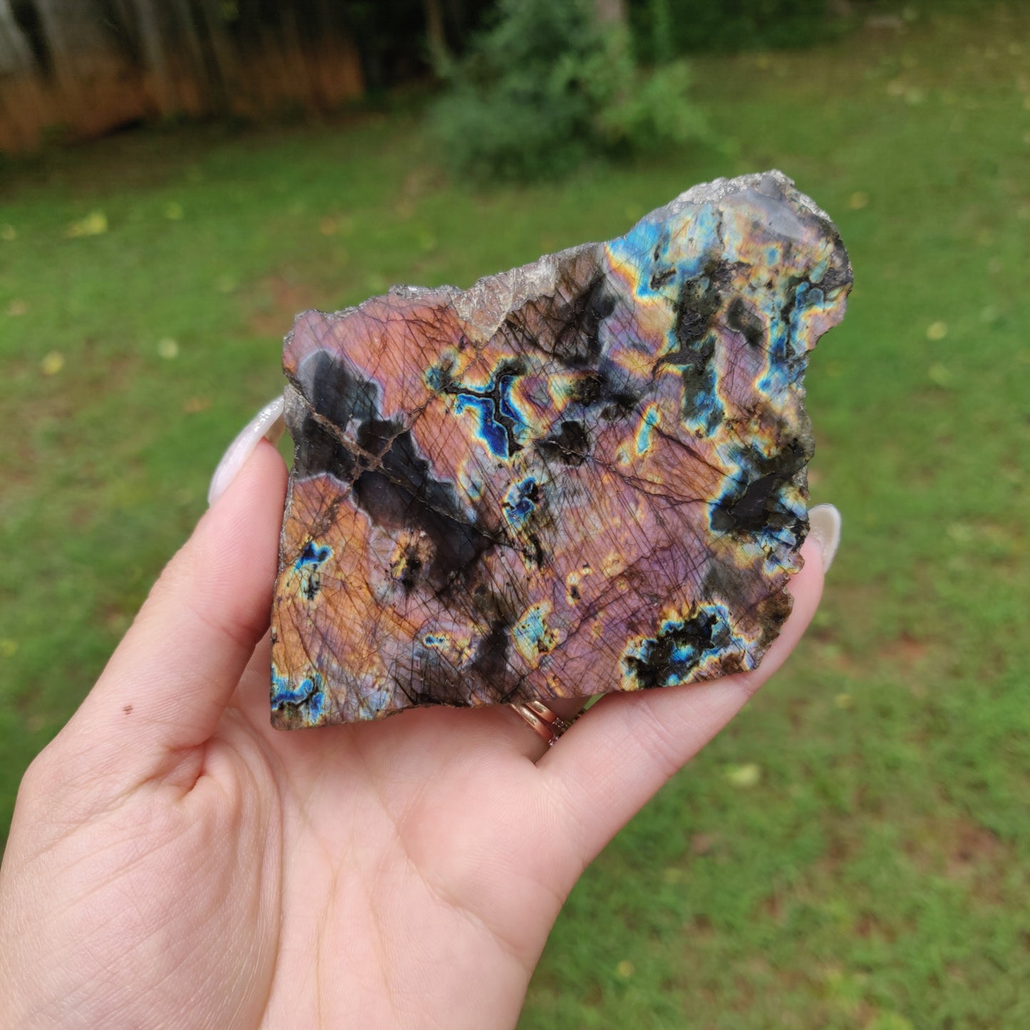 Labradorite Slab (#J18)