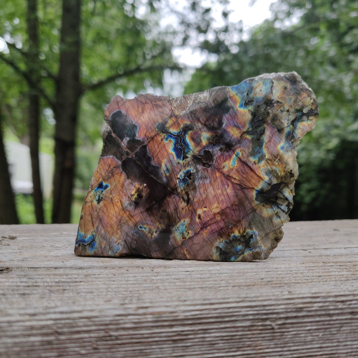 Labradorite Slab (#J18)