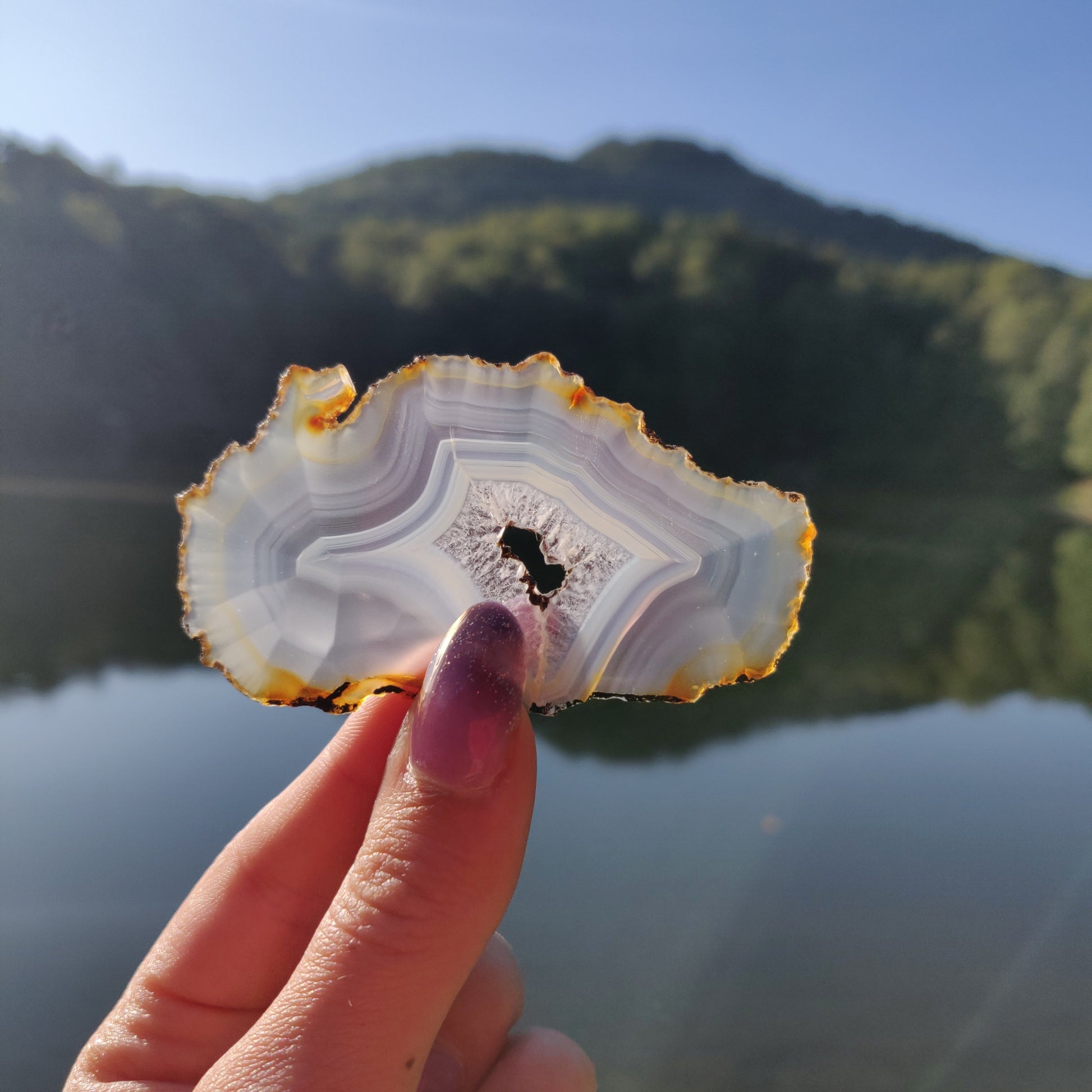Rainbow Iris Agate Slice in natural lighting