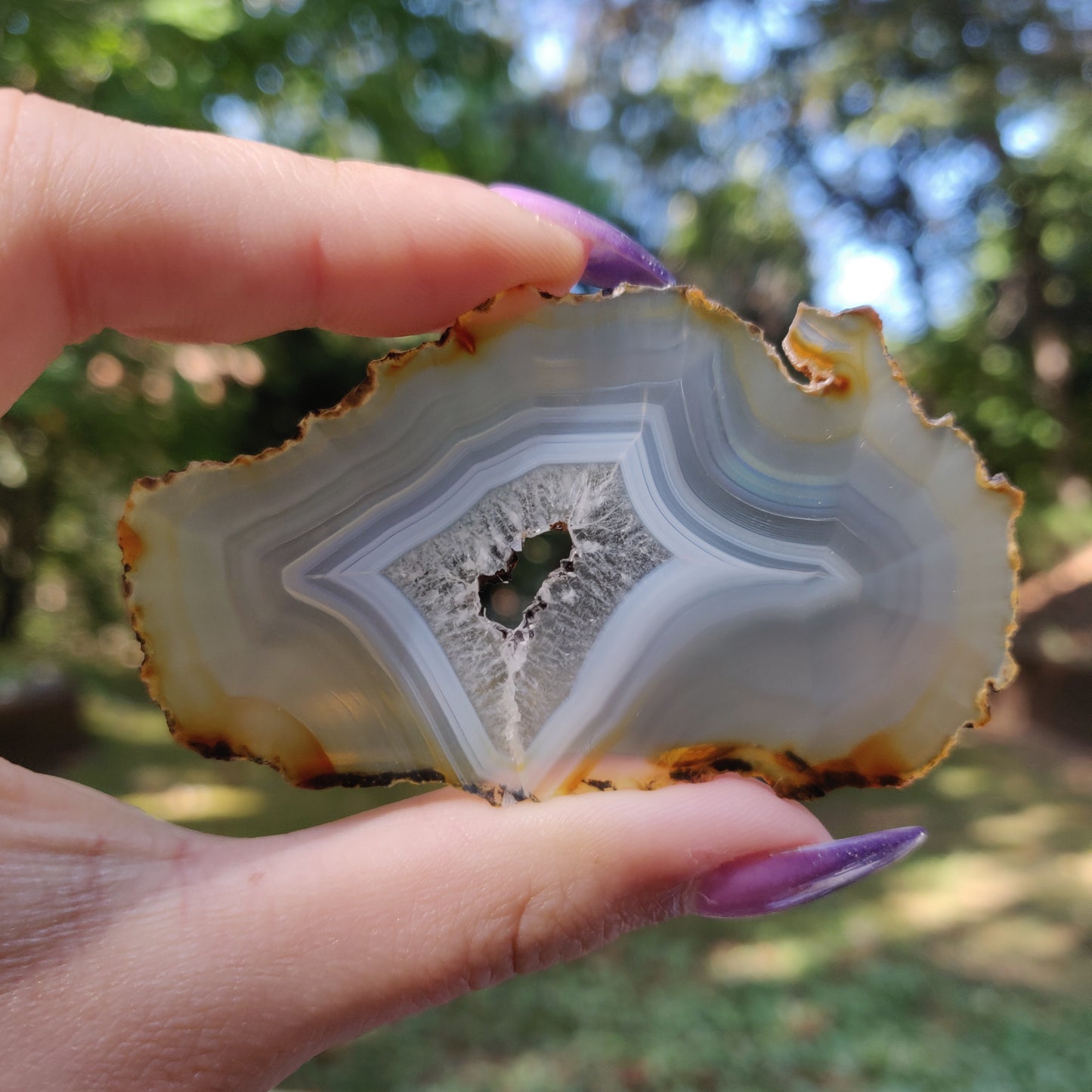 Iris Agate Slice (#5)