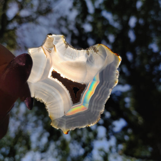 Iris Agate Slice (#11)