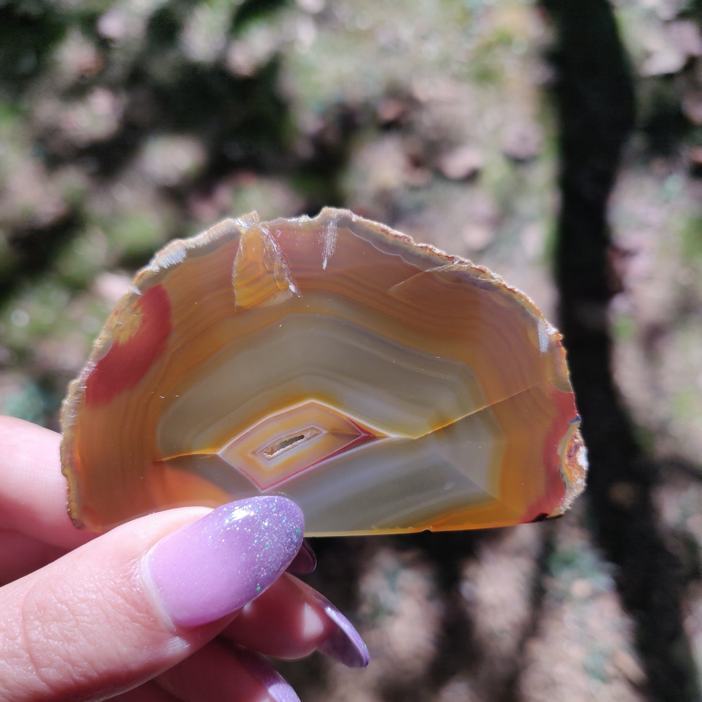 Iris Agate Slice (#12)
