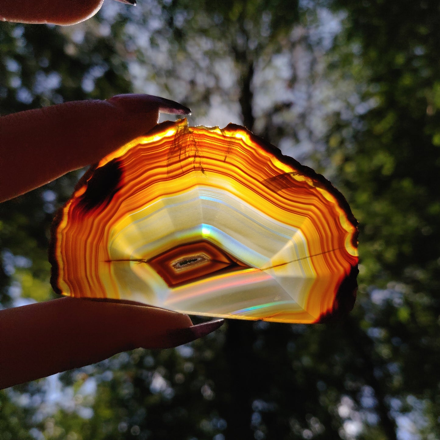Iris Agate Slice (#12)