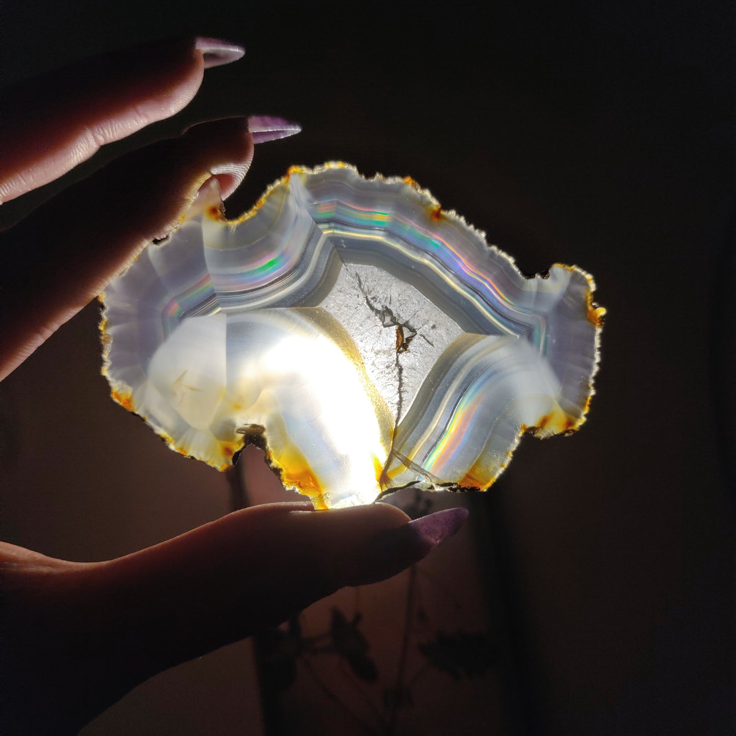 Iris Agate Slice (#7)