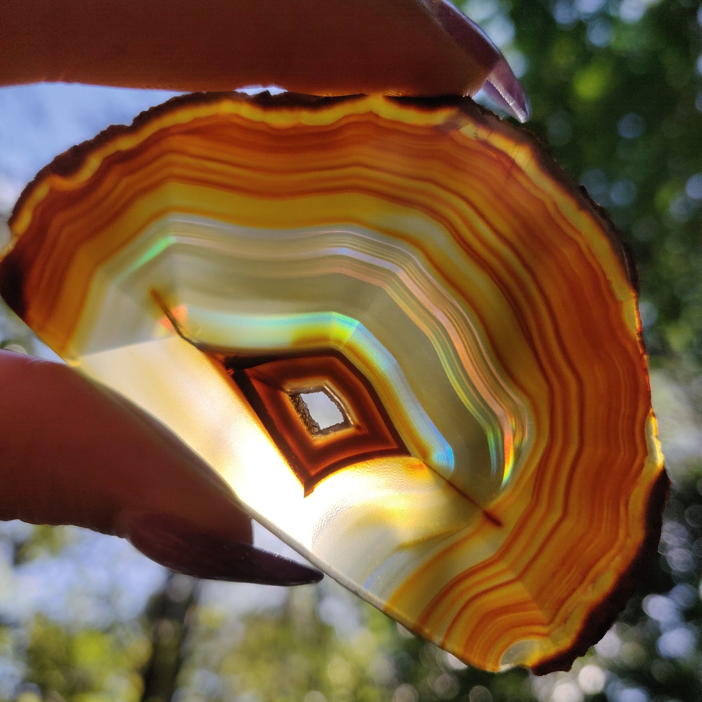 Iris Agate Slice (#15)
