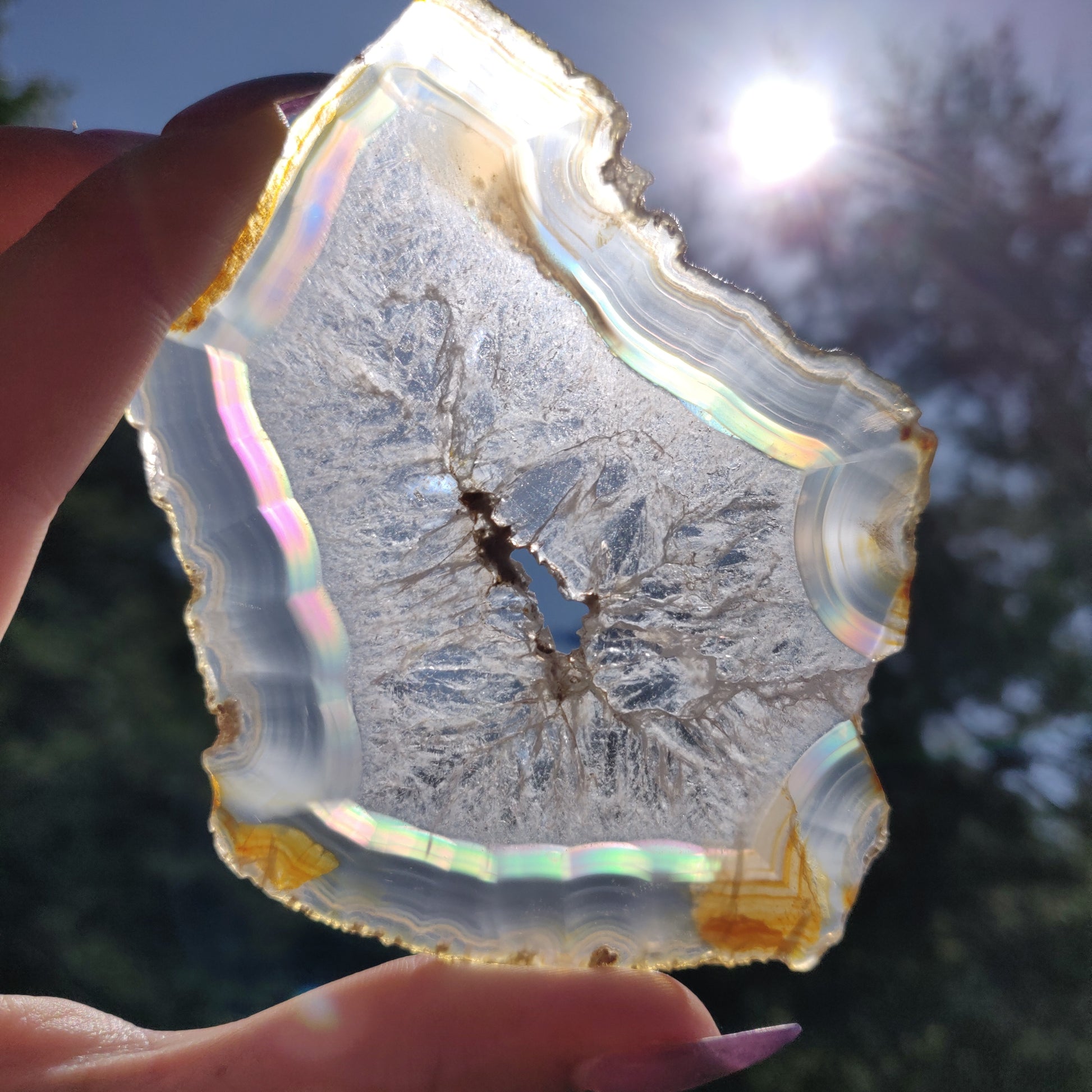 3.75" Iris Agate Slice (#16) - Simply Affinity