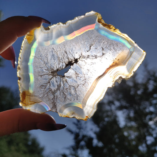 3.75" Iris Agate Slice (#16) - Simply Affinity