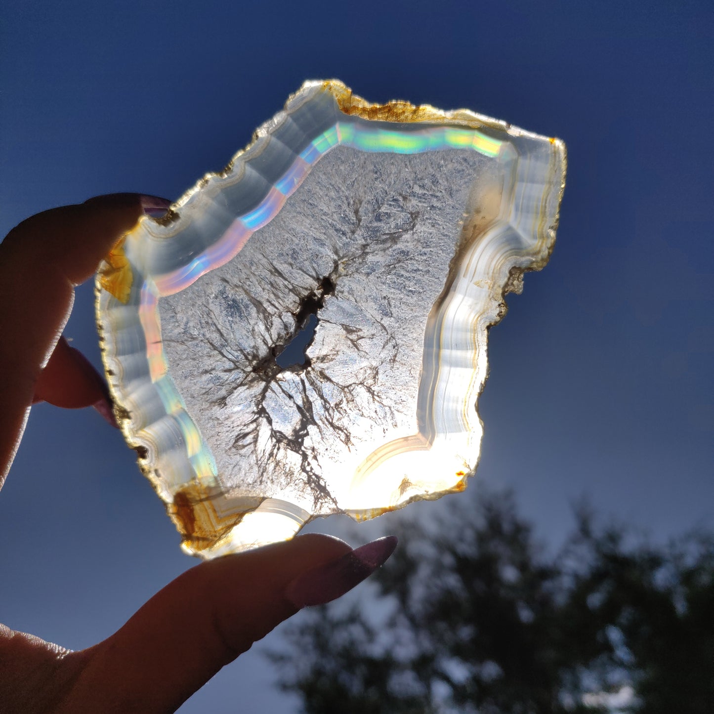 3.75" Iris Agate Slice (#16) - Simply Affinity