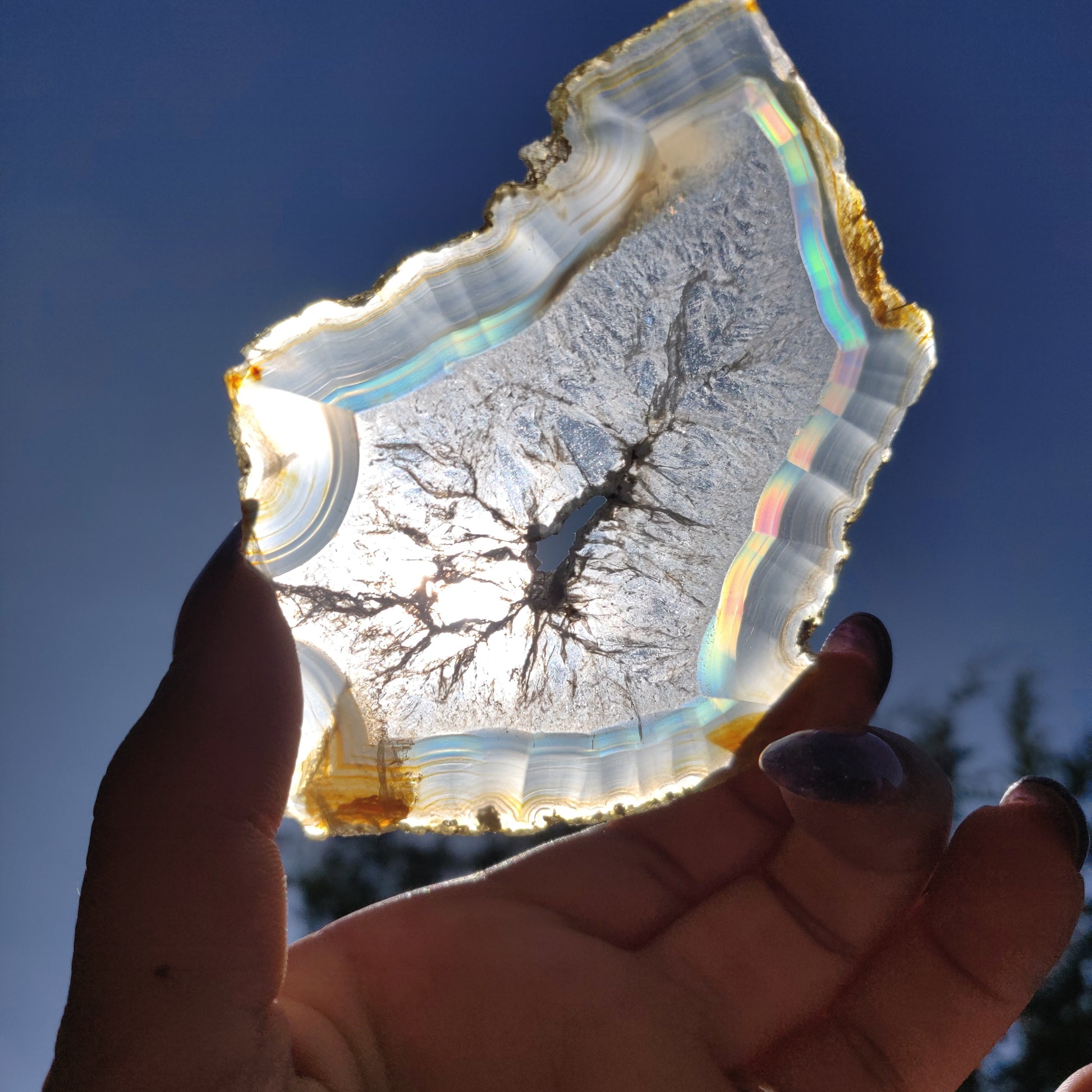 3.75" Iris Agate Slice (#16) - Simply Affinity