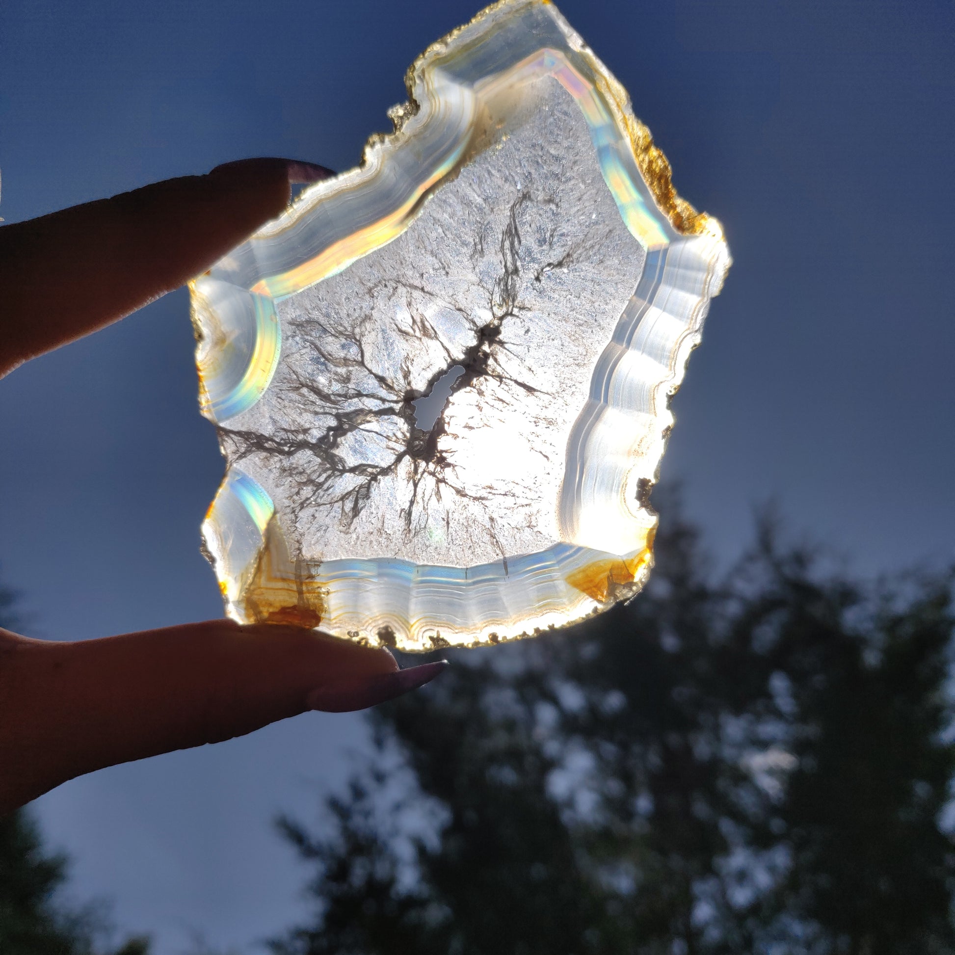 3.75" Iris Agate Slice (#16) - Simply Affinity