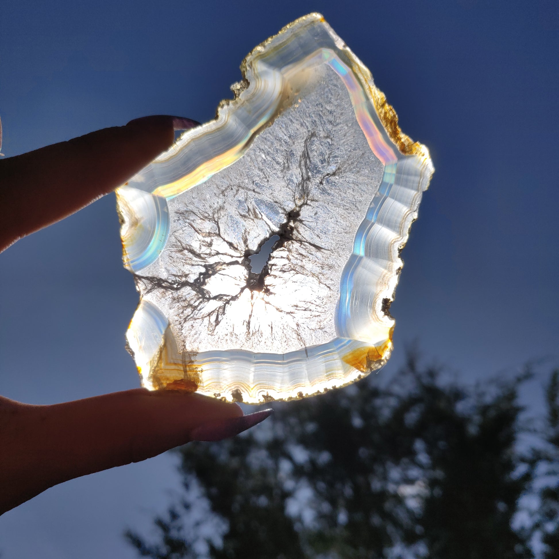 3.75" Iris Agate Slice (#16) - Simply Affinity