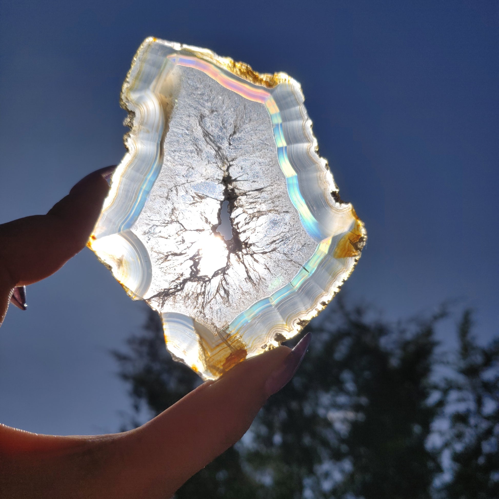 3.75" Iris Agate Slice (#16) - Simply Affinity