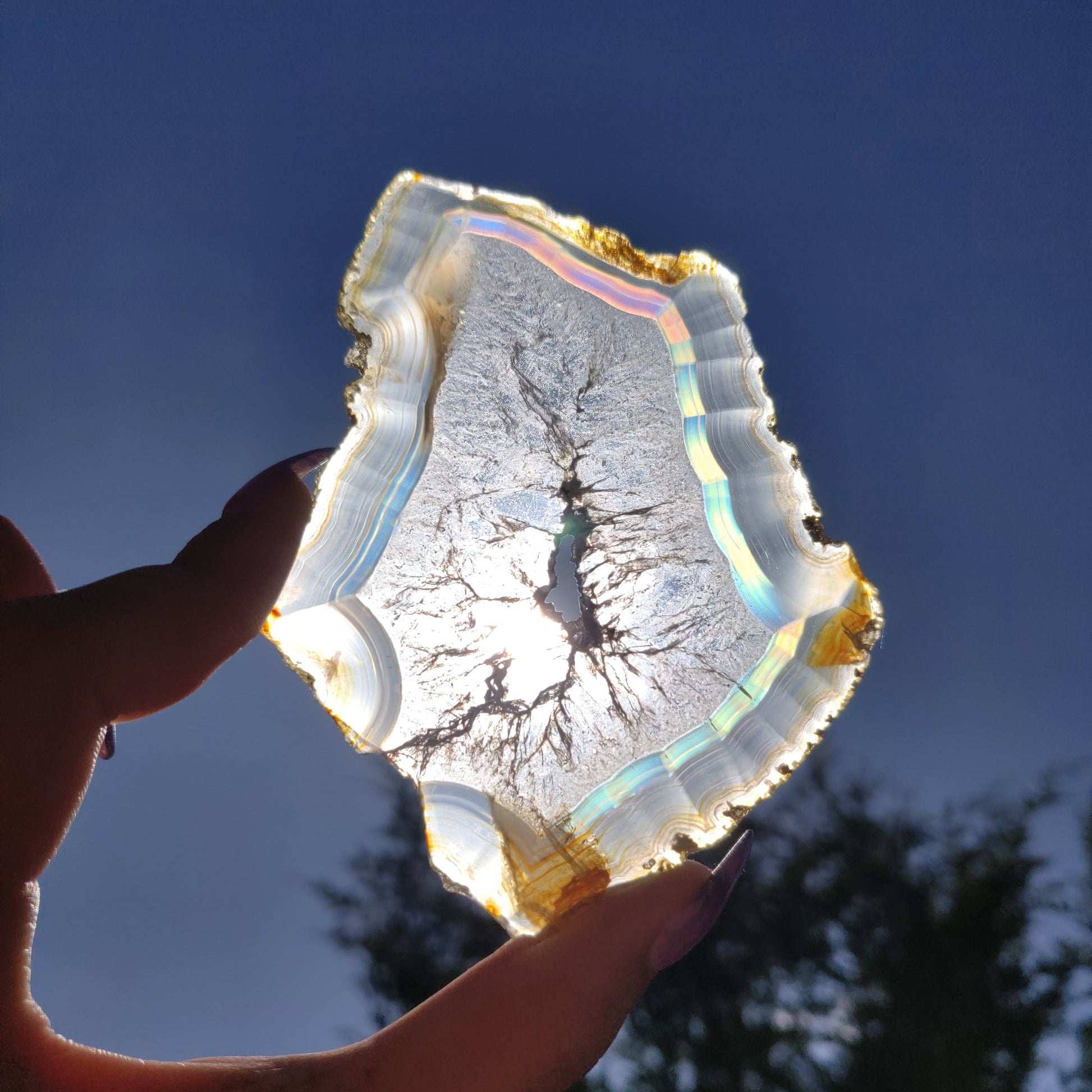 3.75" Iris Agate Slice (#16) - Simply Affinity