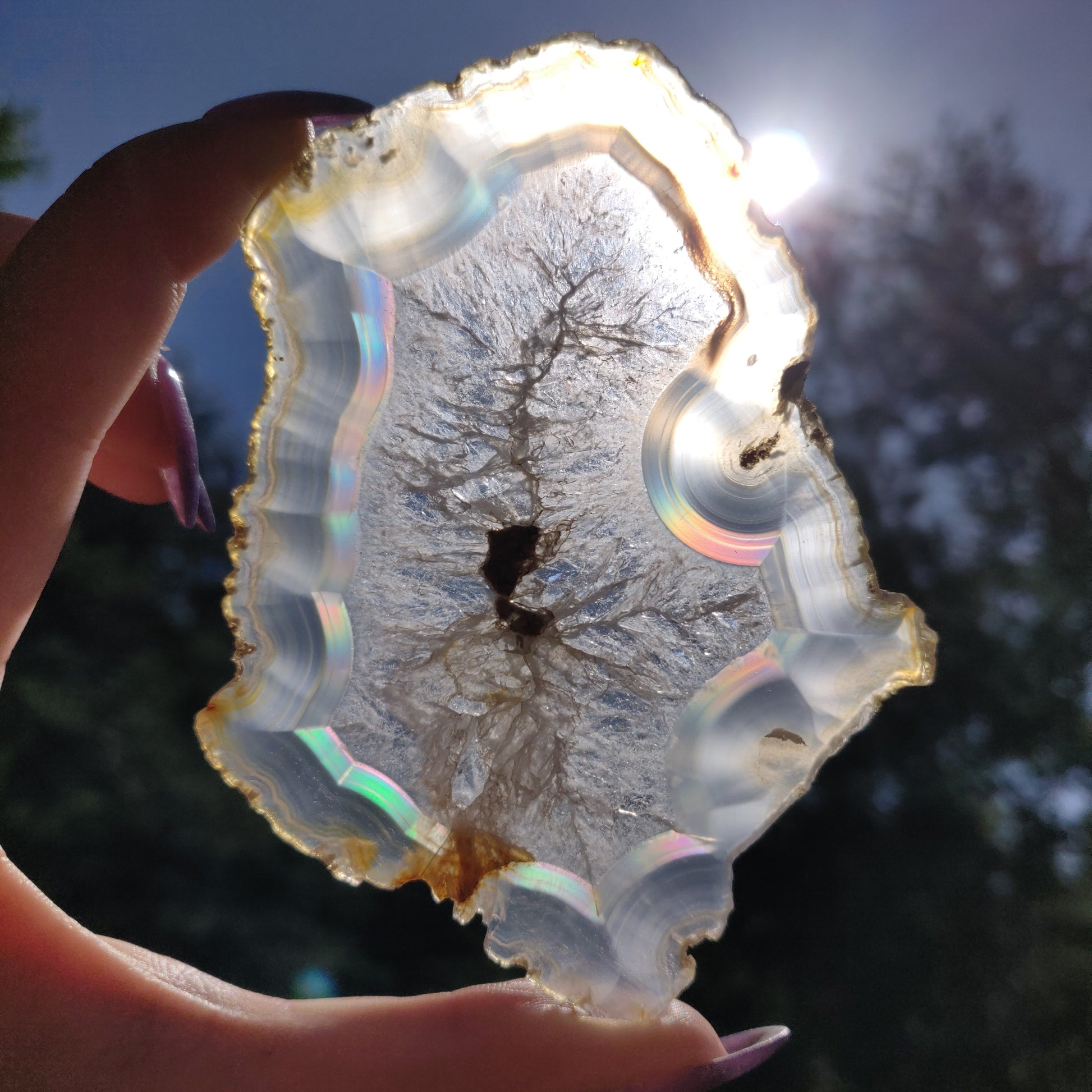 4" Iris Agate Slice (#17) - Simply Affinity