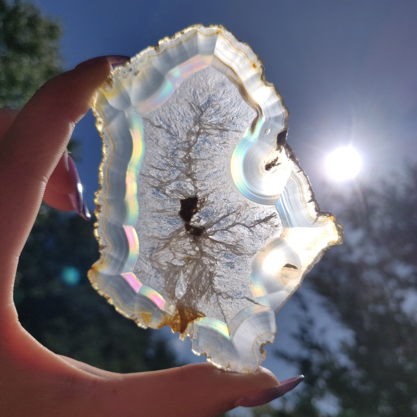 4" Iris Agate Slice (#17) - Simply Affinity