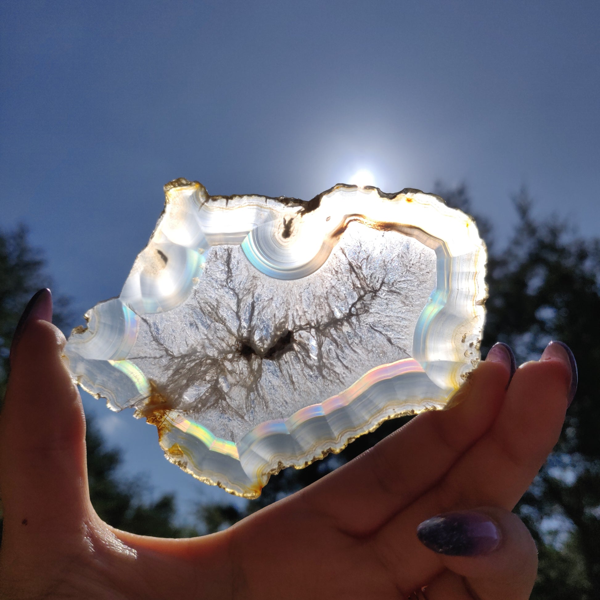 4" Iris Agate Slice (#17) - Simply Affinity