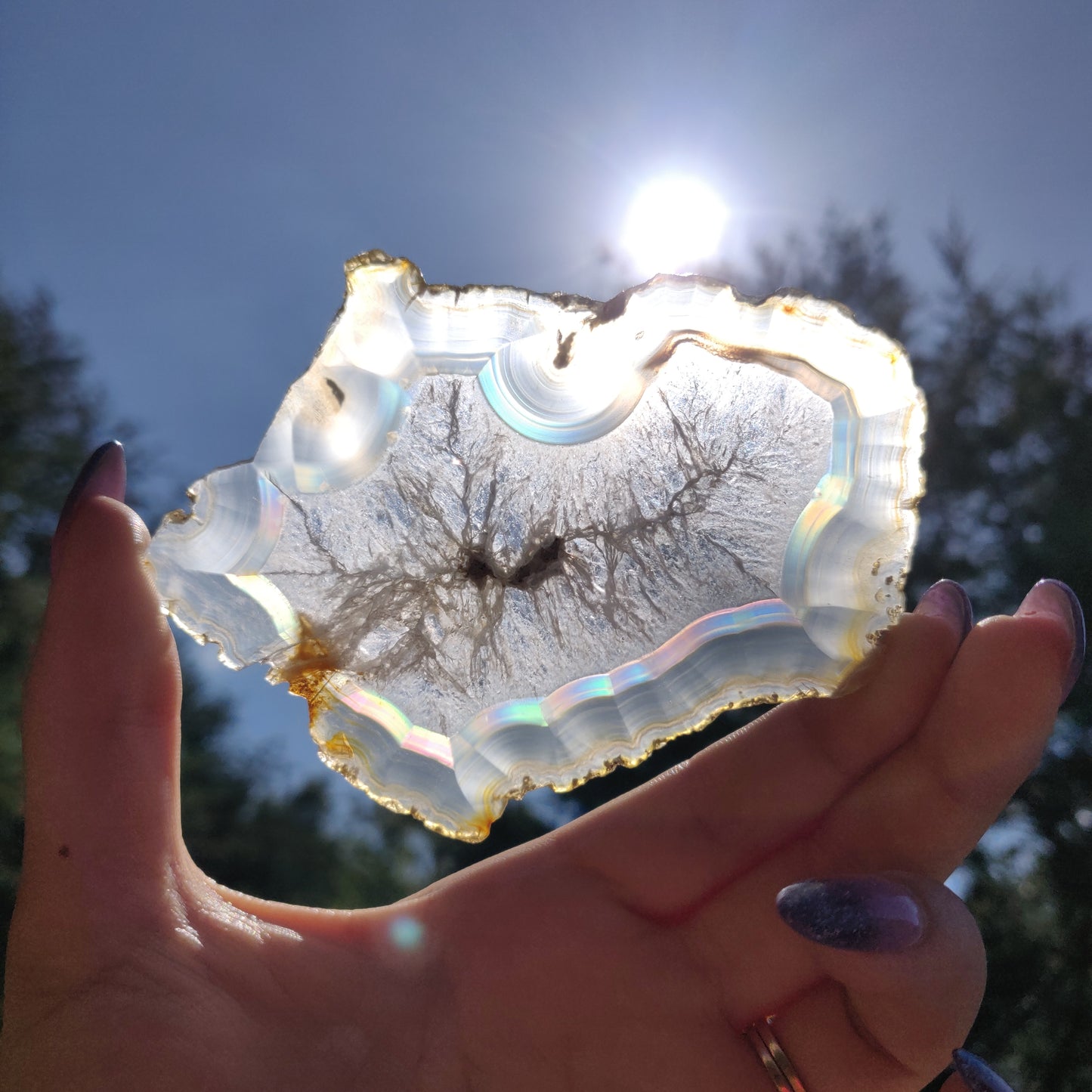 4" Iris Agate Slice (#17) - Simply Affinity