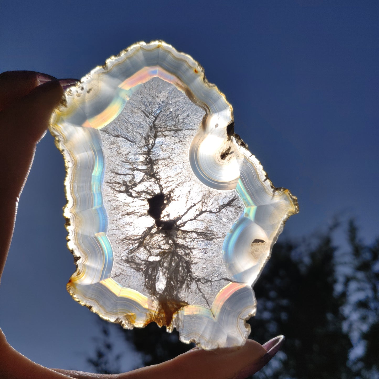 4" Iris Agate Slice (#17) - Simply Affinity