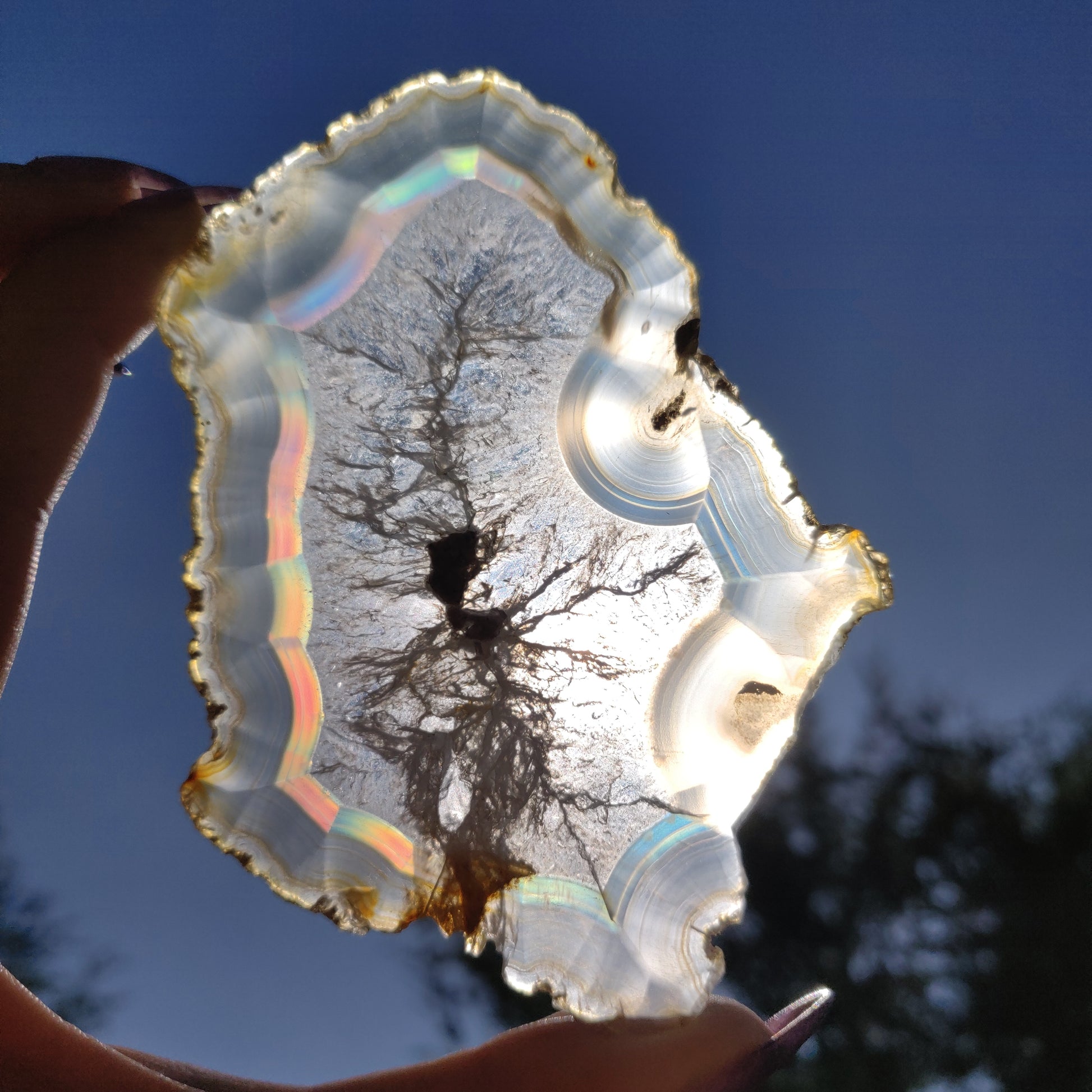 4" Iris Agate Slice (#17) - Simply Affinity