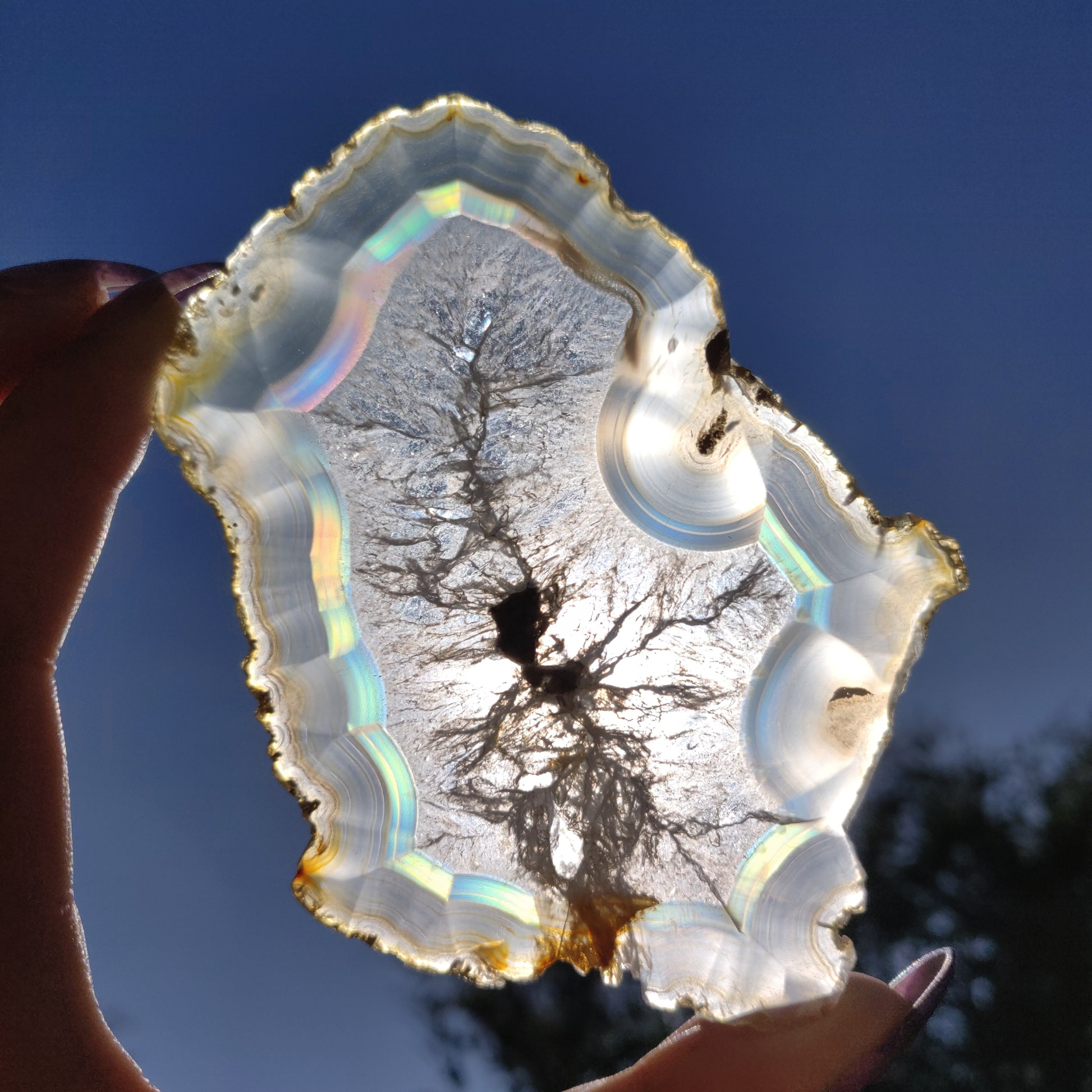 4" Iris Agate Slice (#17) - Simply Affinity