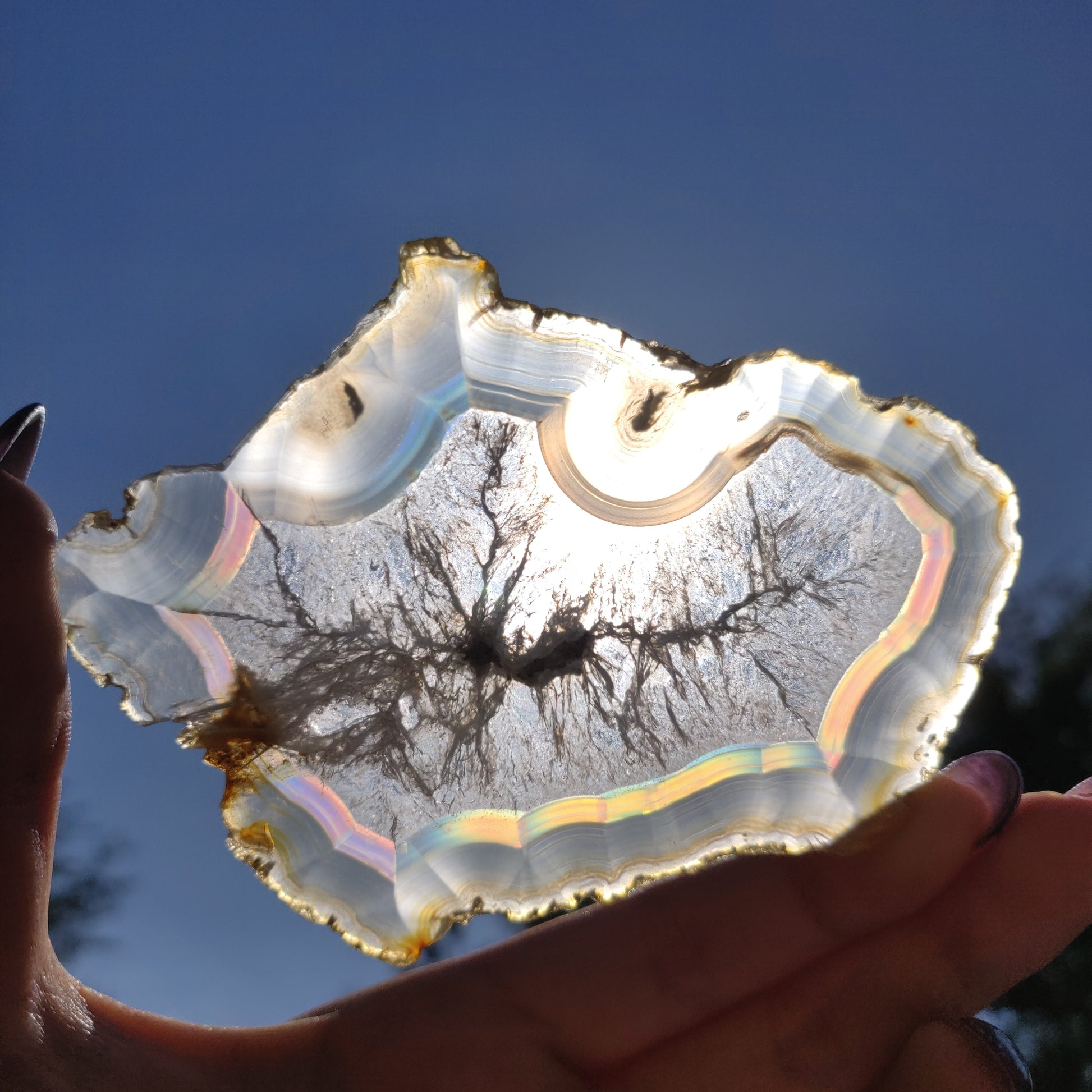 4" Iris Agate Slice (#17) - Simply Affinity